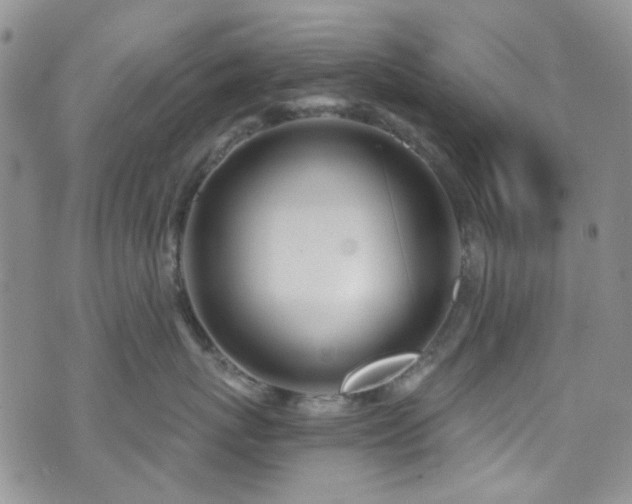 X0000073730767200608031329