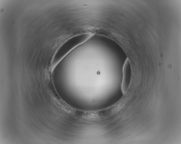 X0000073730768200608031329