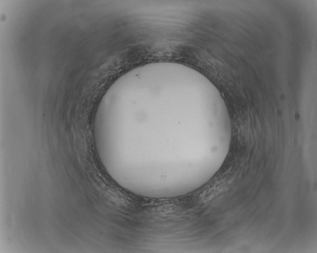 X0000073730769200608031329