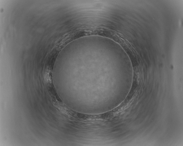 X0000073730770200608031329