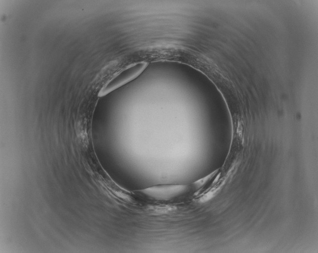 X0000073730771200608031329