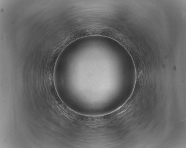 X0000073730772200608031329