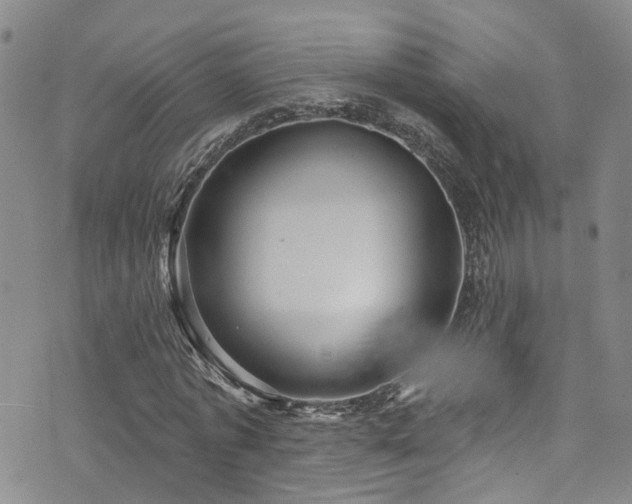 X0000073730773200608031329