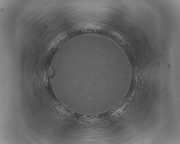 X0000073730774200608031329