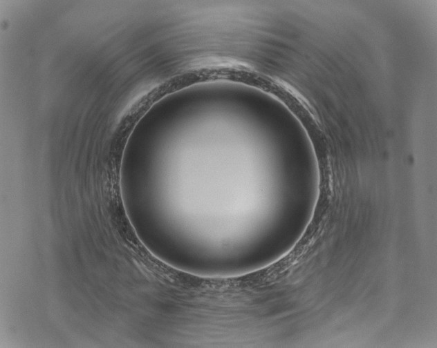 X0000073730775200608031329