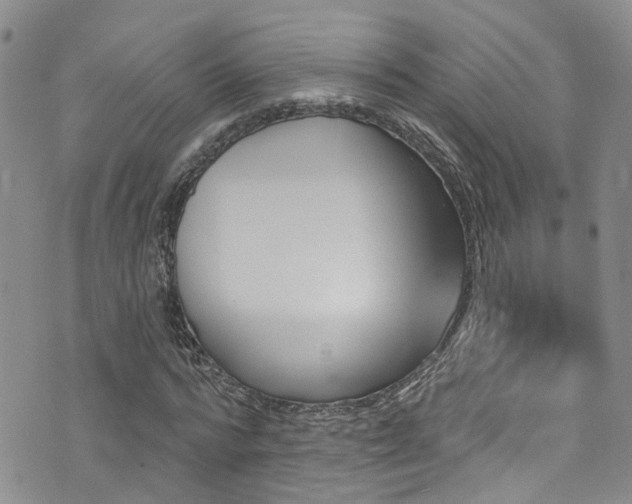 X0000073730776200608031329