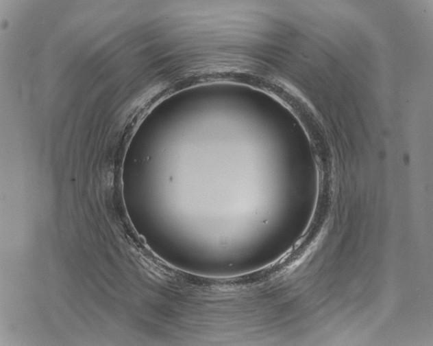 X0000073730777200608031329