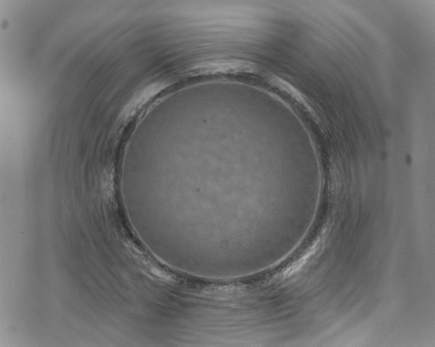 X0000073730778200608031329