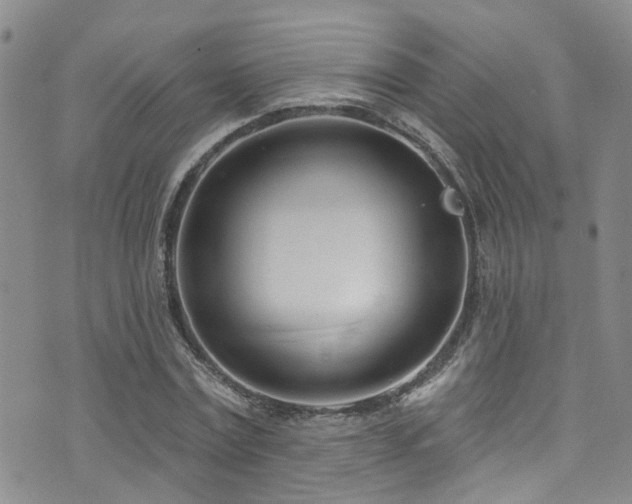 X0000073730779200608031328