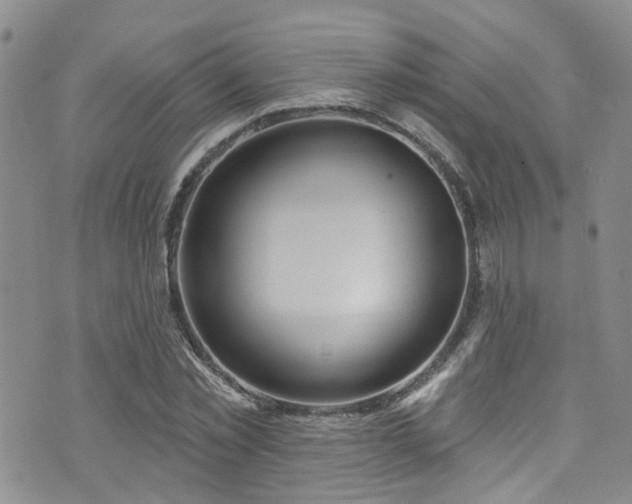 X0000073730781200608031328