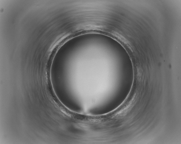 X0000073730782200608031328