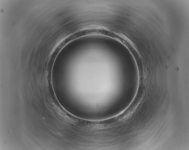 X0000073730783200608031328