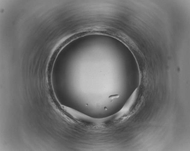 X0000073730784200608031328