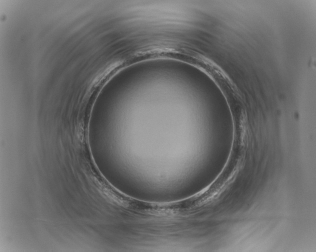 X0000073730785200608031328