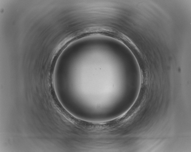 X0000073730786200608031328