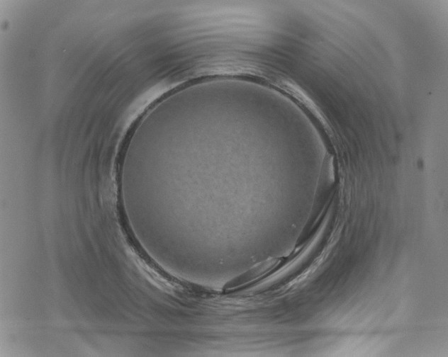 X0000073730787200608031328