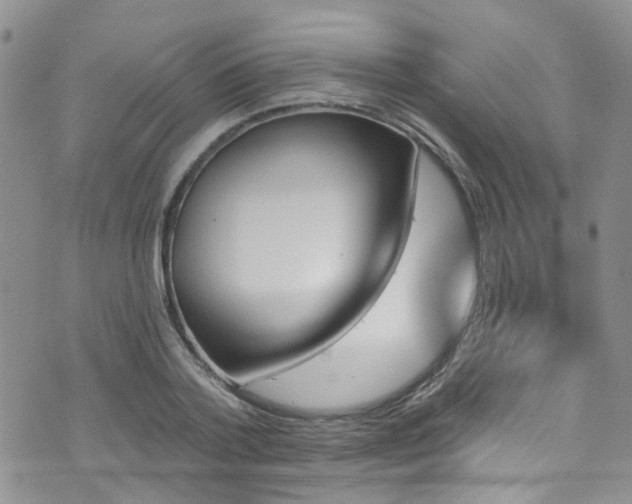 X0000073730788200608031328