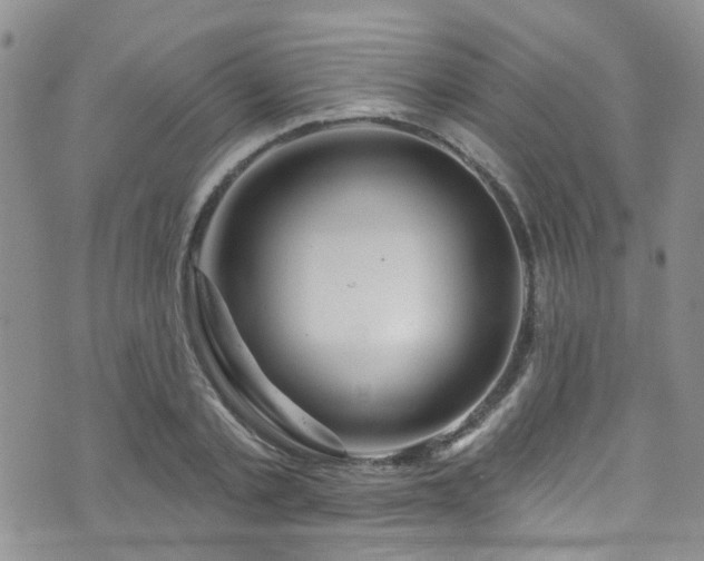 X0000073730789200608031328