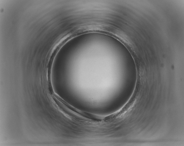 X0000073730790200608031328