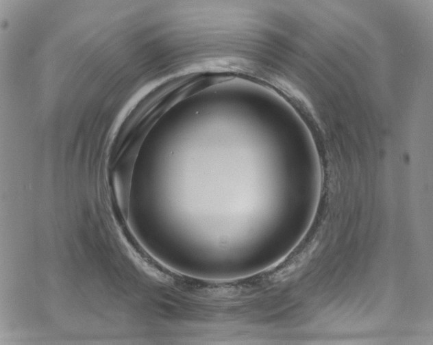 X0000073730792200608031328