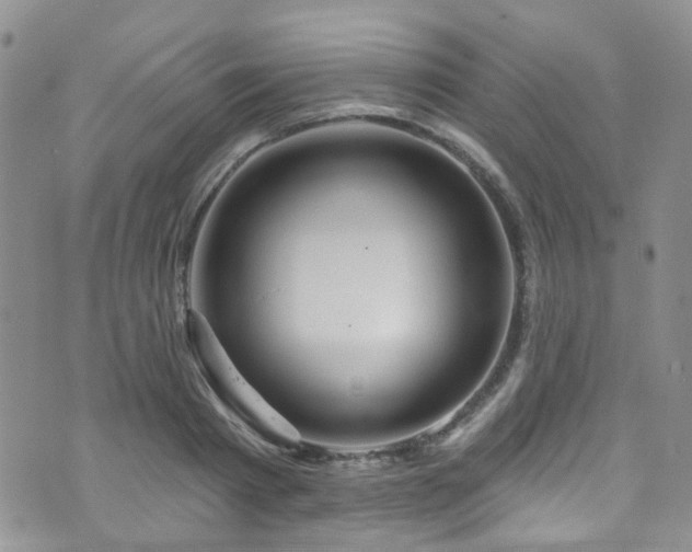 X0000073730793200608031328