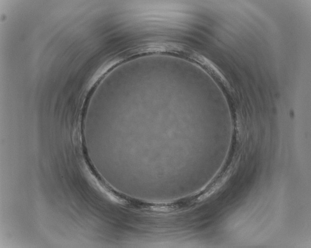 X0000073730794200608031328