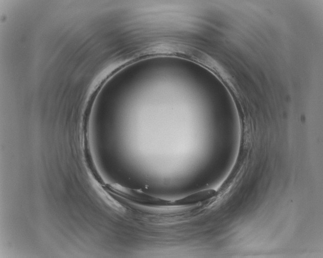 X0000073730795200608031328