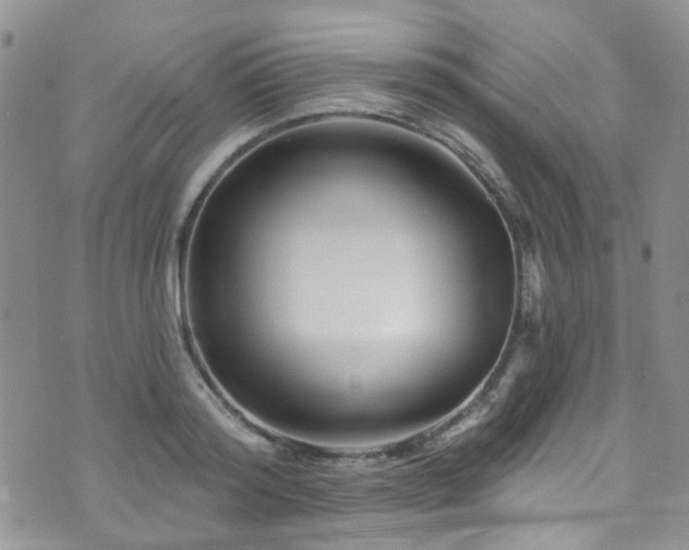 X0000073730796200608031328