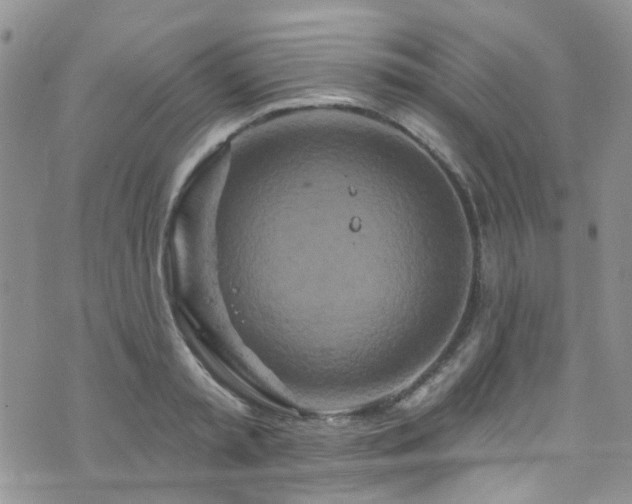 X0000073730797200608031328