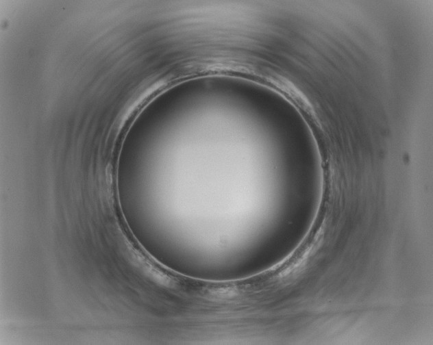 X0000073730798200608031328