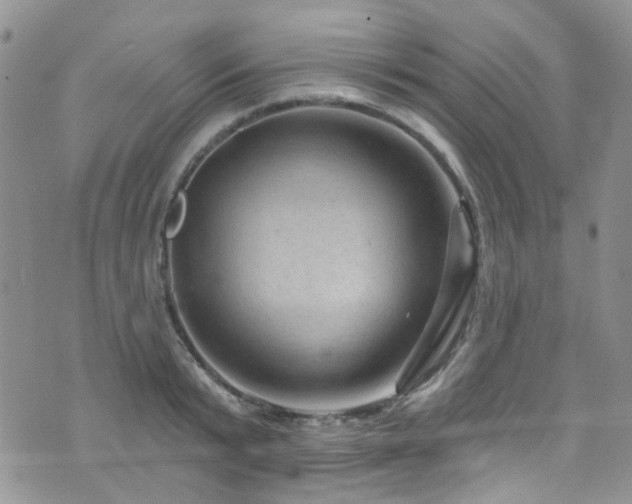 X0000073730799200608031328