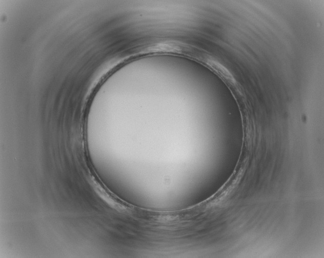 X0000073730800200608031328