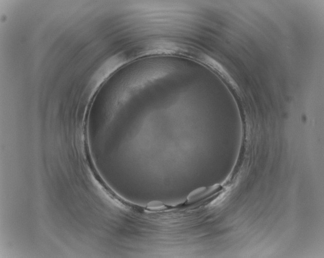 X0000073730802200608031328