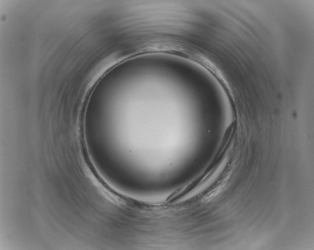 X0000073730803200608031328