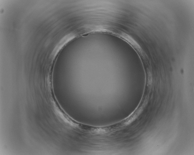 X0000073730806200608031328