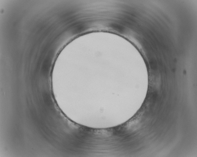 X0000073730807200608031328