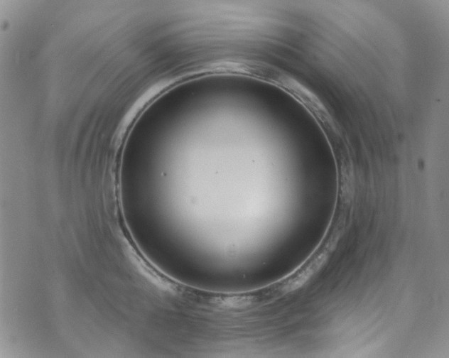 X0000073730808200608031328