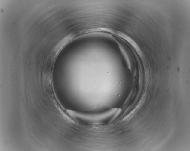 X0000073730809200608031328