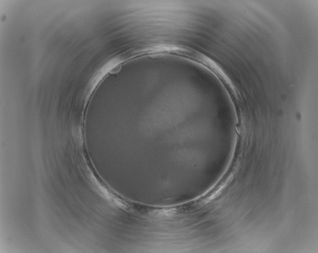 X0000073730810200608031328