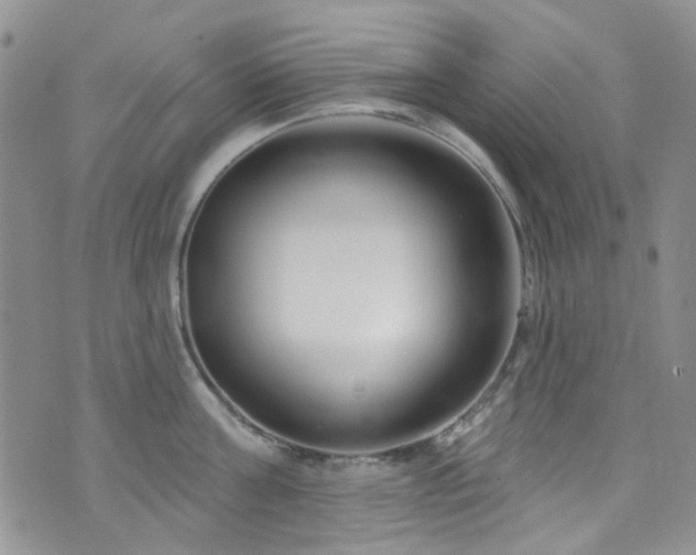 X0000073730811200608031328