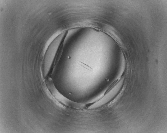 X0000073730812200608031328