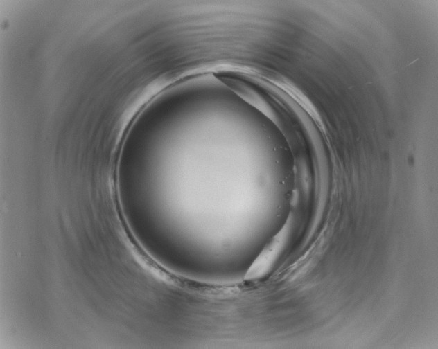 X0000073730813200608031328