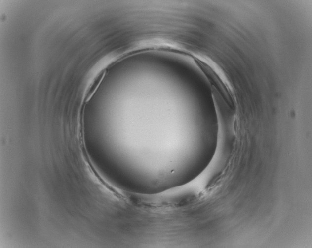 X0000073730815200608031328