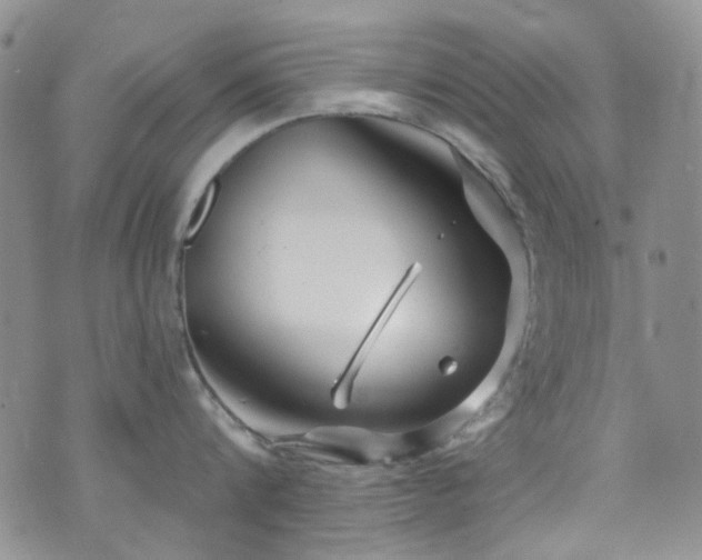 X0000073730816200608031328