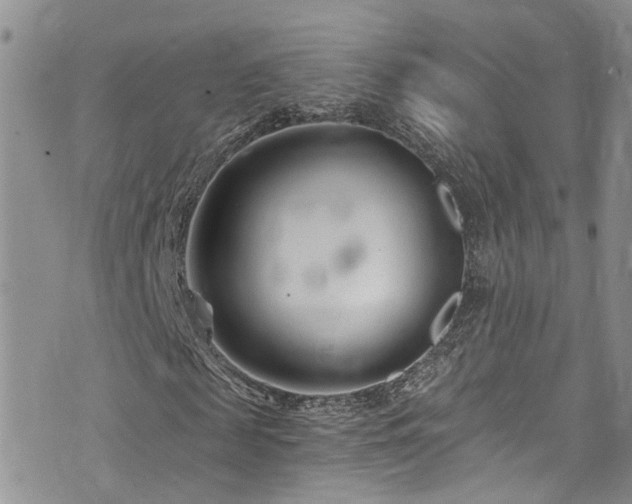 X0000073730817200608031327