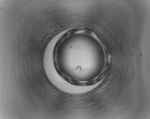 X0000073730818200608031327