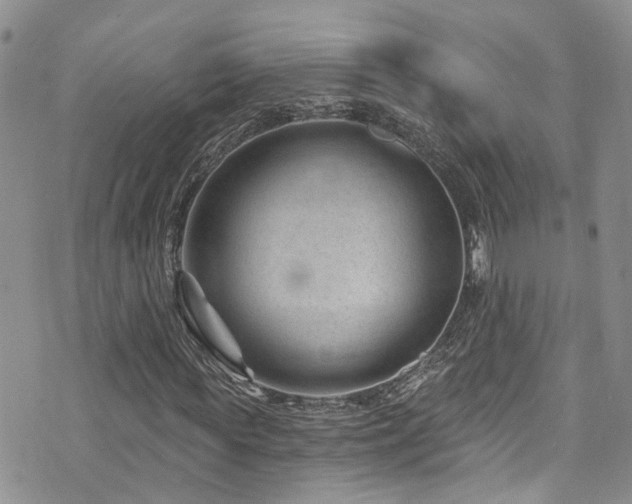 X0000073730819200608031327