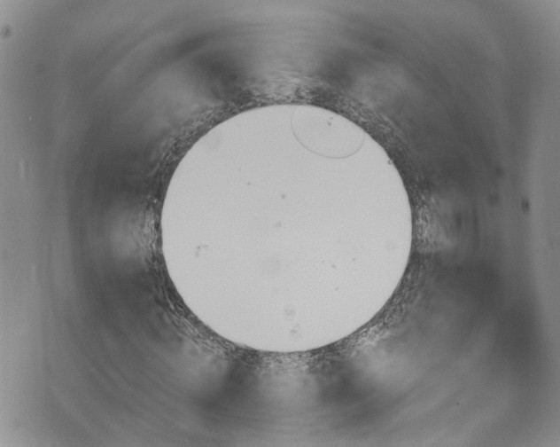 X0000073730820200608031327