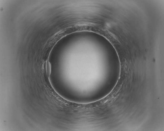 X0000073730821200608031327