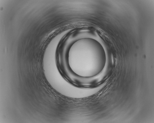 X0000073730822200608031327